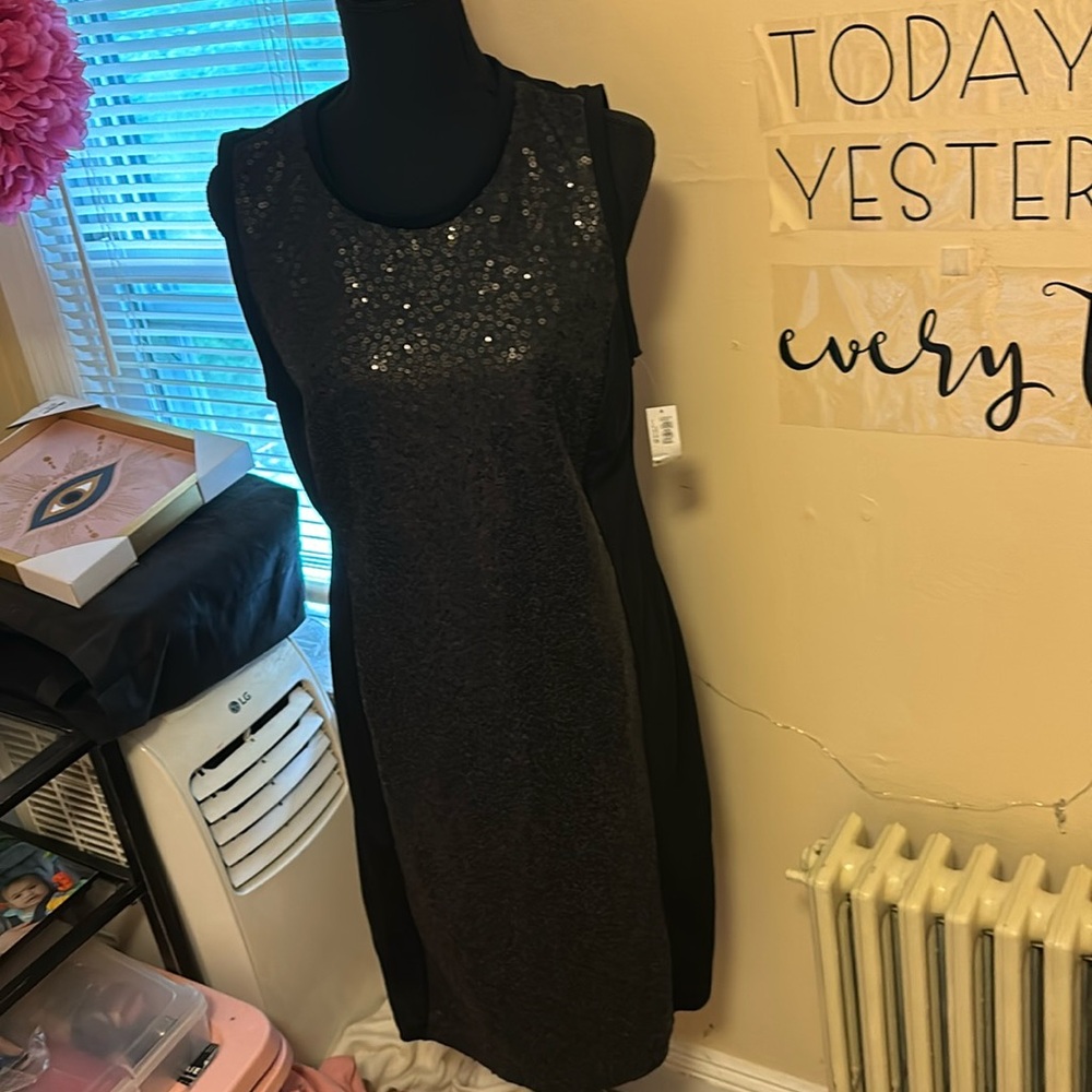 Sleeveless Sequin Dress NWT